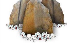Featured image of post OS